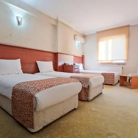 Konak Kayseri Hotel 3* 카이세리