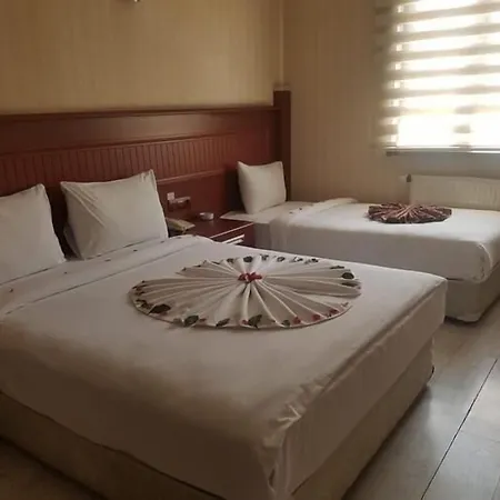 호텔 Konak Kayseri Hotel 카이세리
