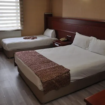 Konak Kayseri Hotel Hotel