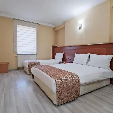 호텔 Konak Kayseri Hotel 3*