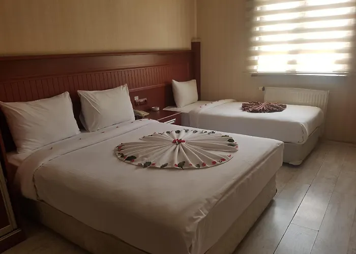 Hotel Konak Kayseri Hotel