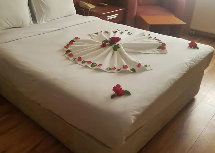 Konak Kayseri Hotel 3*