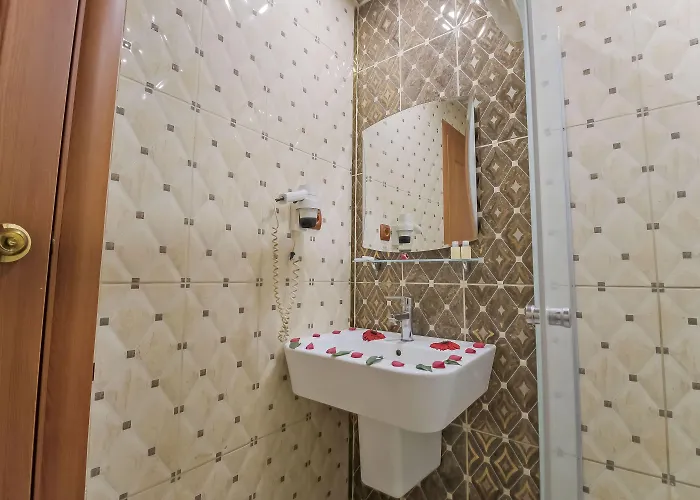 Hotel Konak Kayseri Hotel 3*