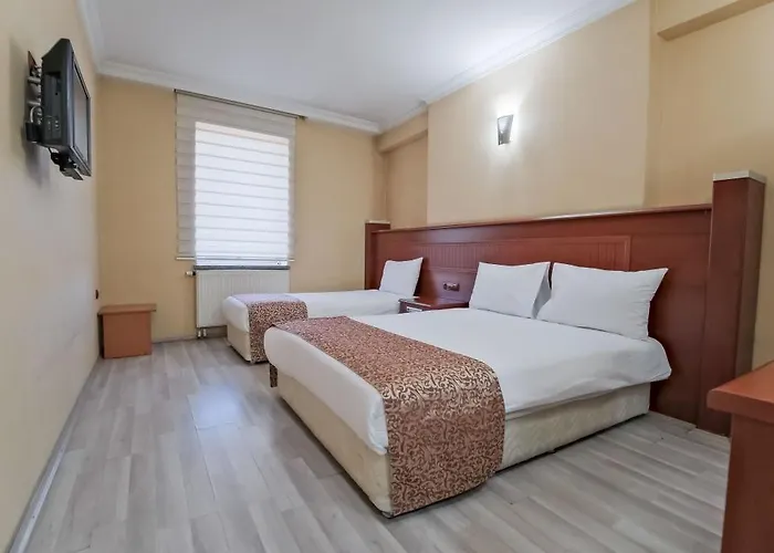 Hotel Konak Kayseri Hotel 3*